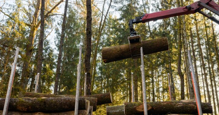 Négocier le prix d’un semi-remorque de bois de chauffage en 2m dans les landes