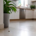 Bébé cafard dans la maison : signes et solutions pour un environnement sain